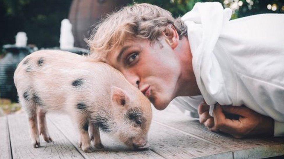 Logan Paul and Pearl as a piglet