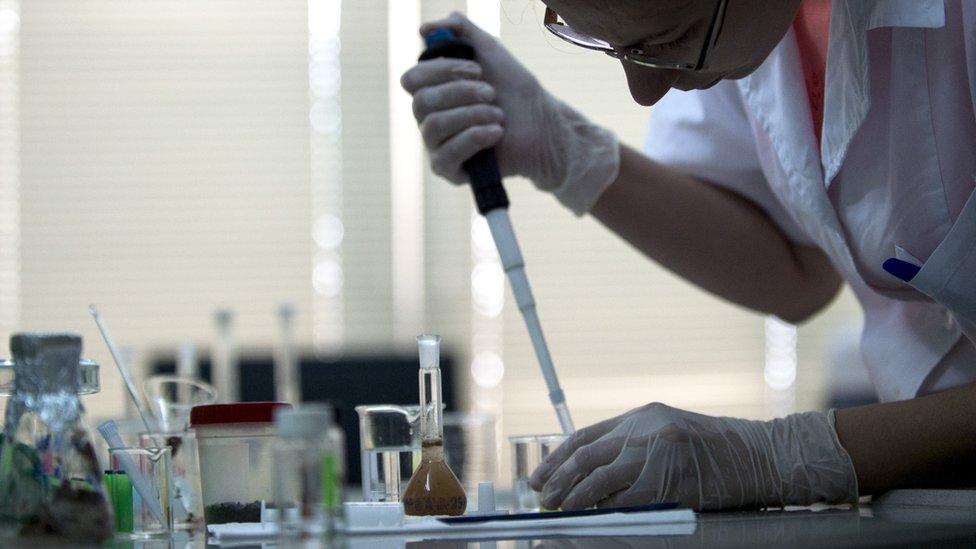 Scientist test the content of food samples at a laboratory