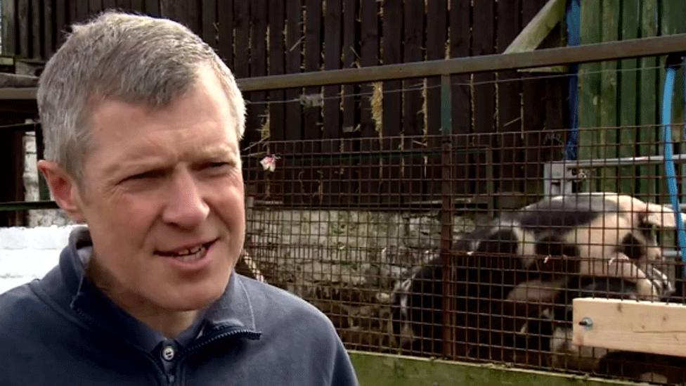 Willie Rennie at the pig farm