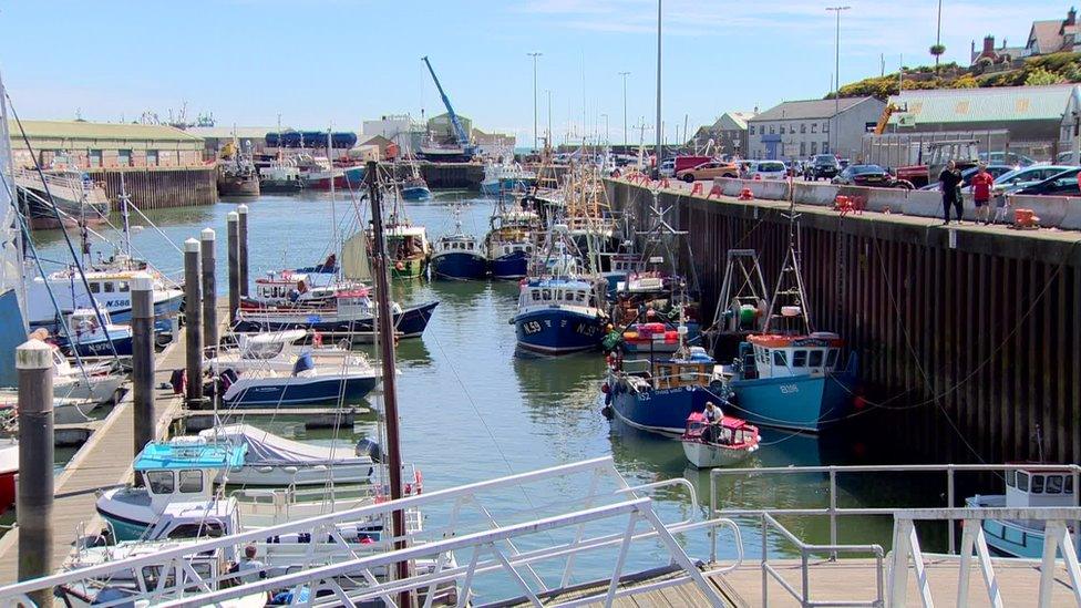 Kilkeel harbour