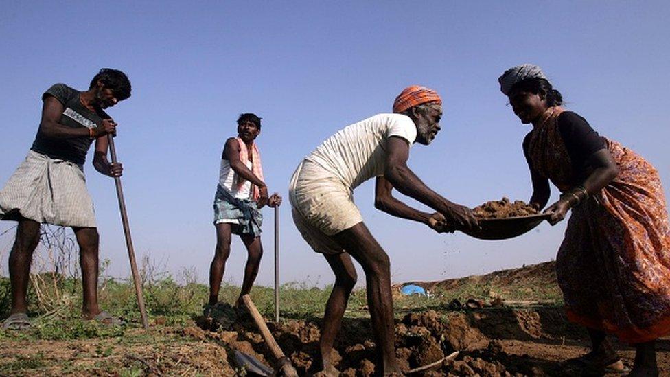 Farm workers in India