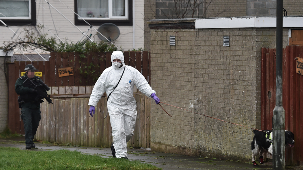 Police sniffer dogs searching the area for evidence