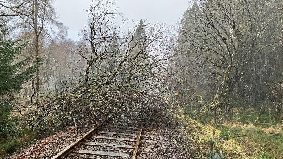 Tree fallen onto train tracks