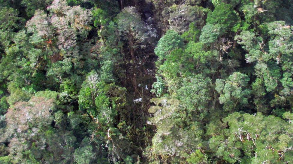 An image showing the wreckage from a Trigana Air flight scattered in trees in the mountainous Oksibil area in Papua province - 17 August 2015