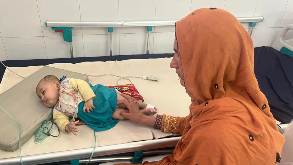 Afghanistan: Babies dying as malnutrition disaster unfolds - BBC News