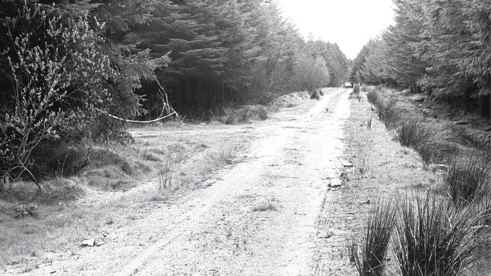 Ballypatrick Forest