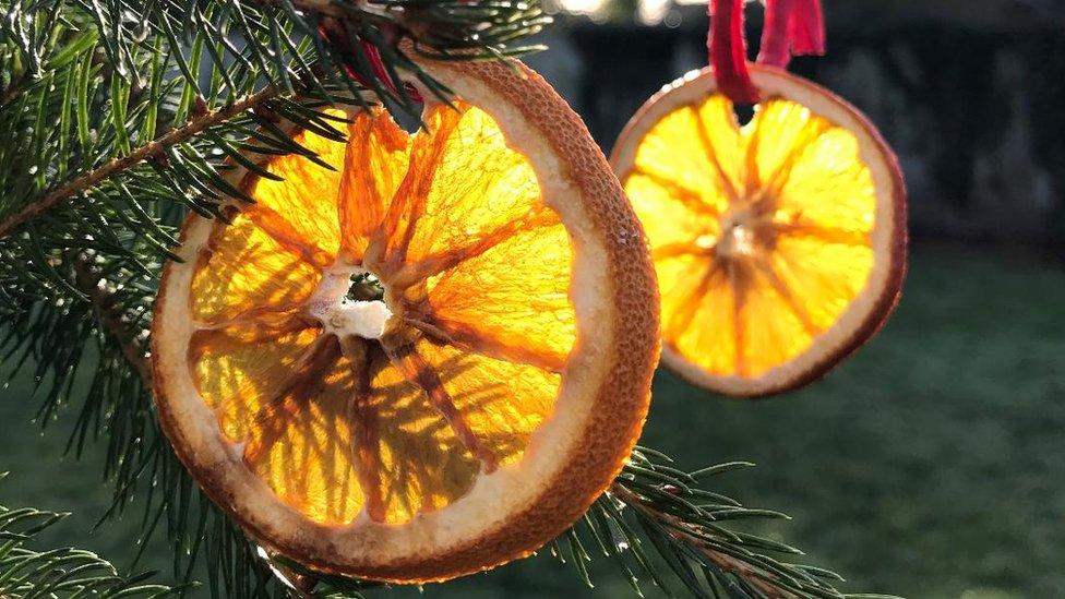 Oranges on tree