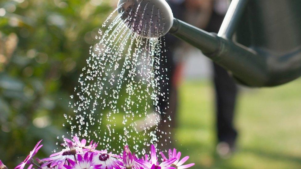 Watering can