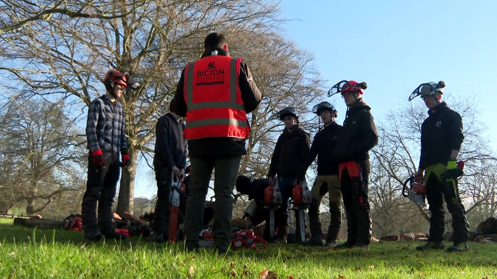 Group of students learning how to use chainsaws