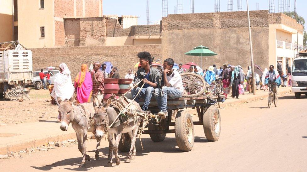 A donkey cart on a road in Asmara, Eritrea