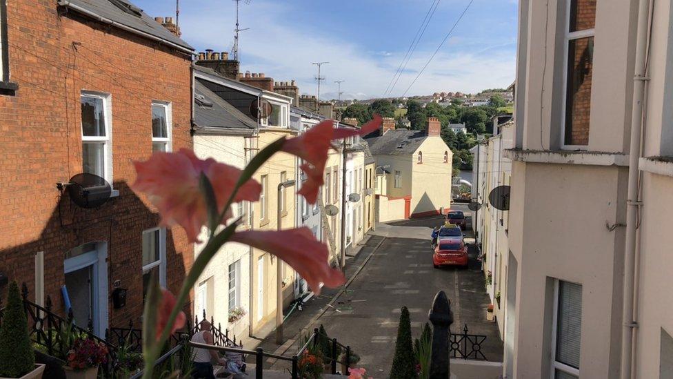 Flower in foreground of Abercorn Terrace.