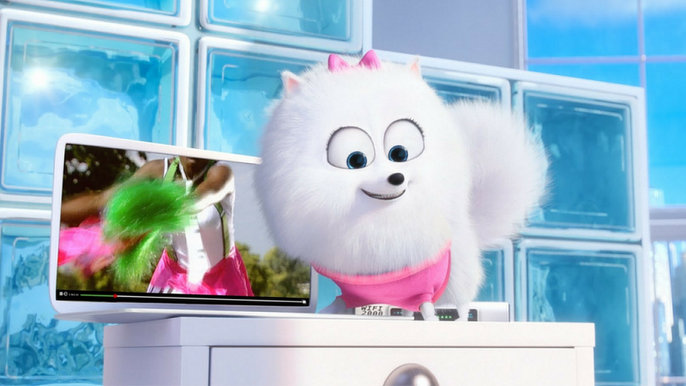 Sky advertisement with fluffy dog