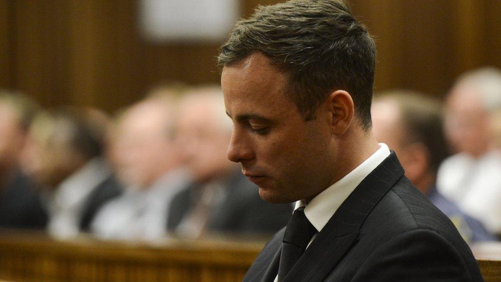 Pistorius (file photo)