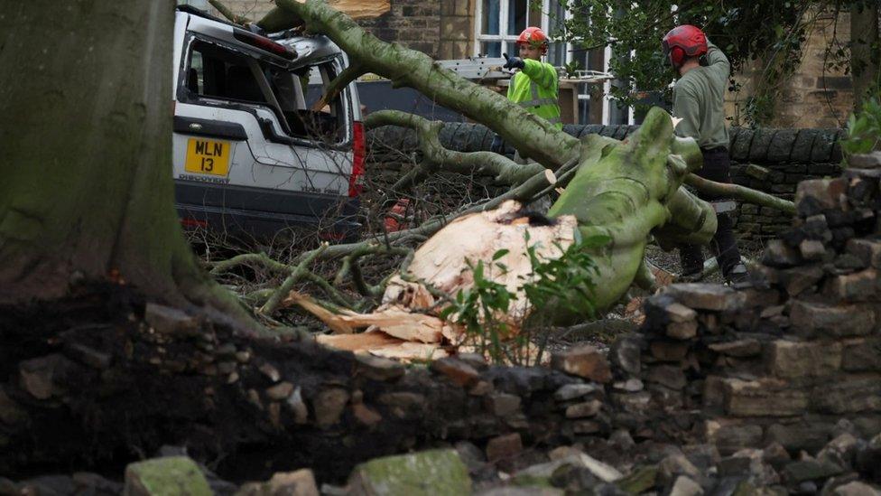 A tree surgeon works to remove a tree that fell on to a car after Storm Gerrit hit the country in Stalybridge