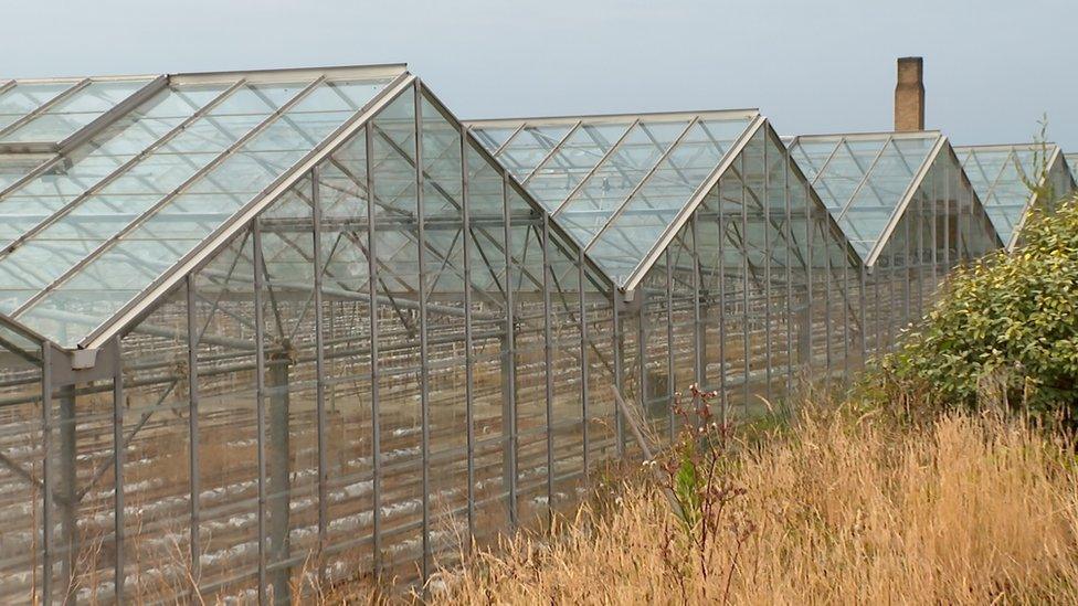 Pointes Rocques vinery