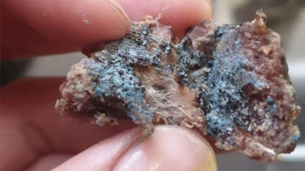 Meat covered in powder thought to be rat poison