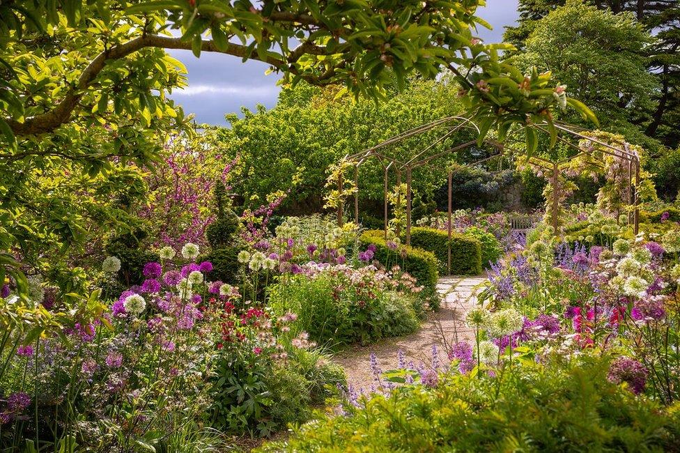 An attractive garden landscape