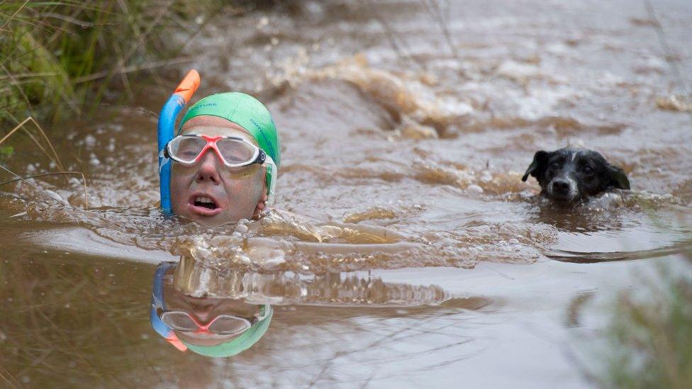 bog-snorkling.