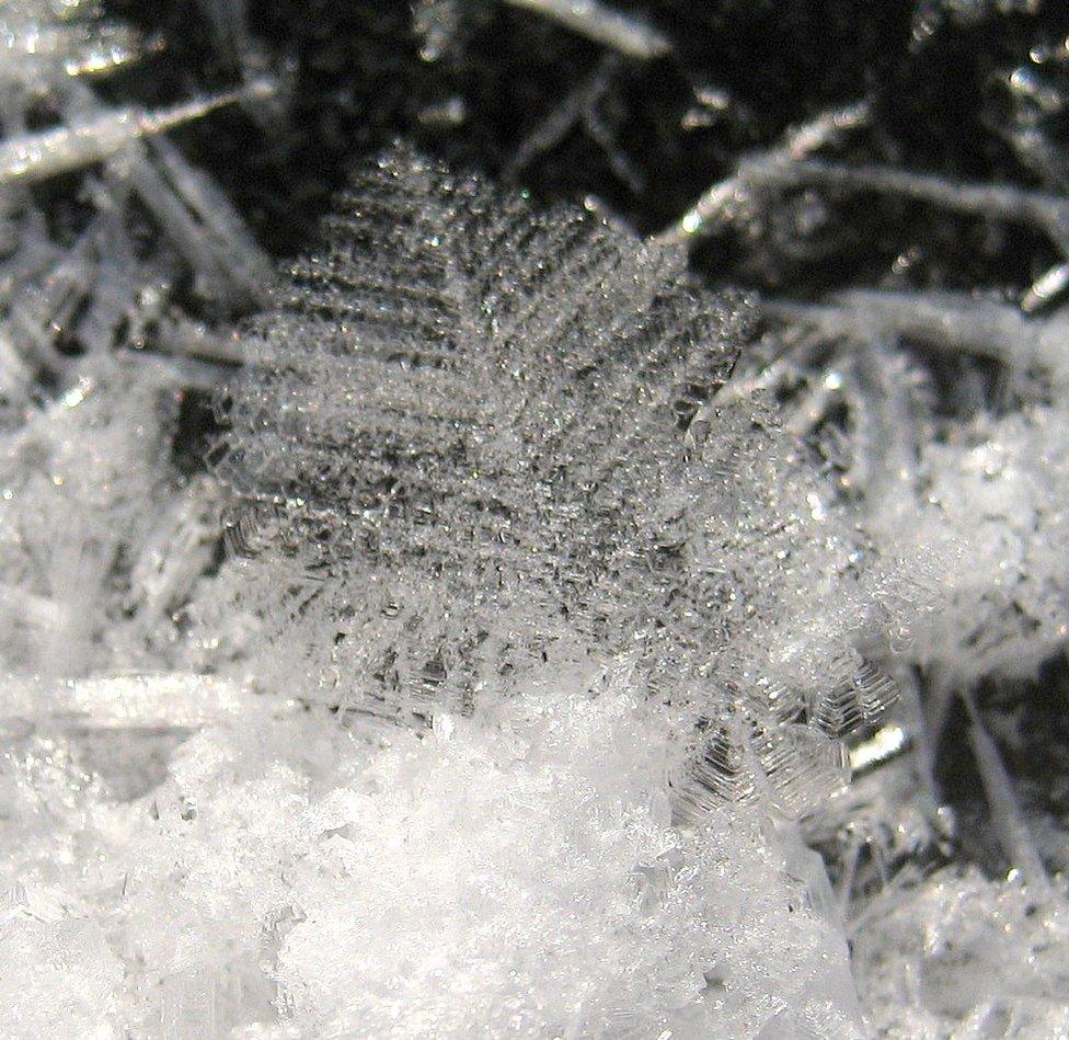 A snowflake close-up