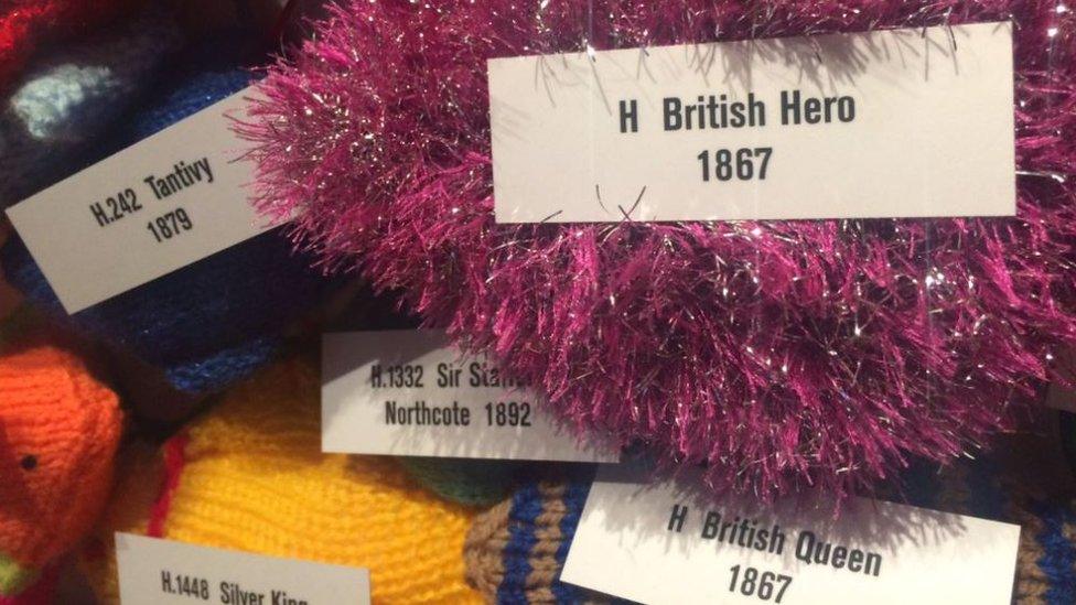 Knitted fish with trawler numbers