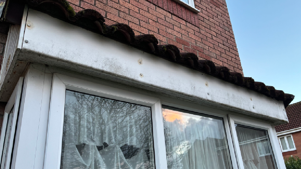 An image of the outside of David's home. Mould and damp on top of the windows on the outside extension can be seen.