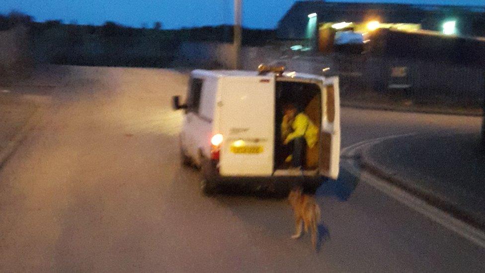 Dog 'cruelly' dragged by van in Stoke taken into care BBC News