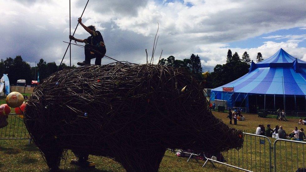 Bonfire in shape of hog