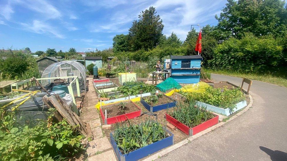 Talbot Road Allotments