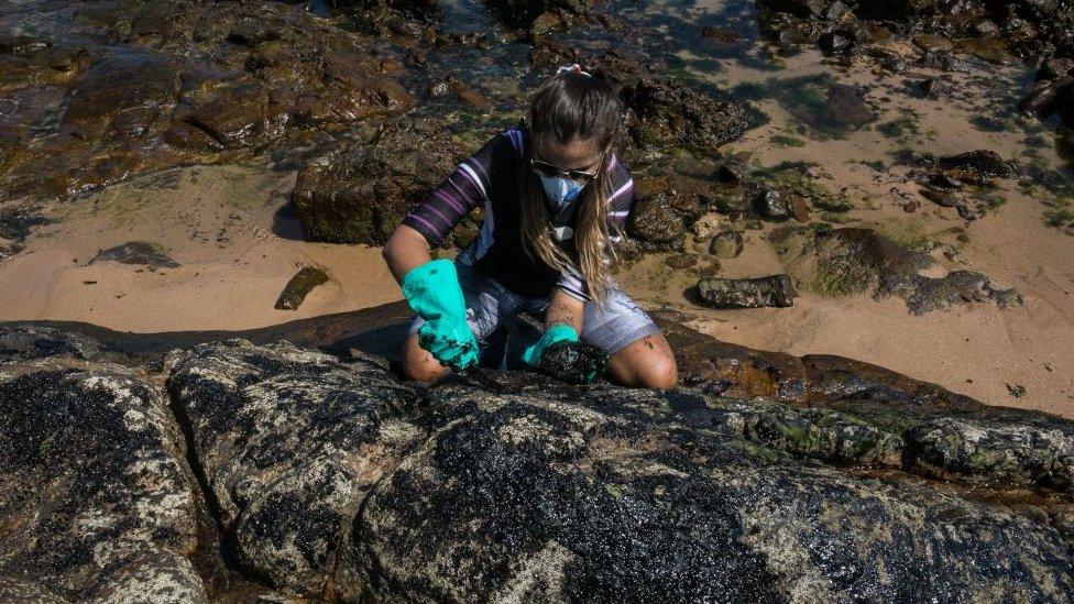 Volunteer-cleans-a-rock.