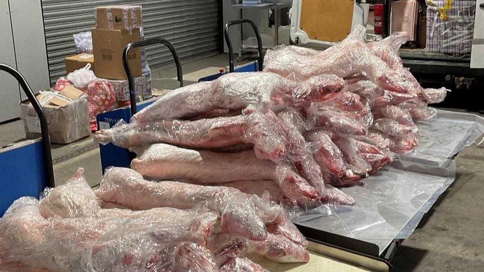 Sheep carcasses seized at the port of Dover