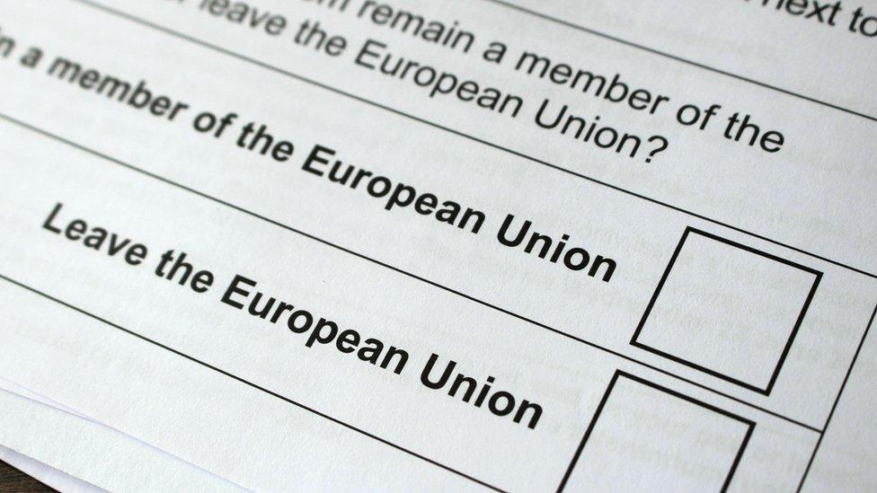 EU referendum ballot paper.