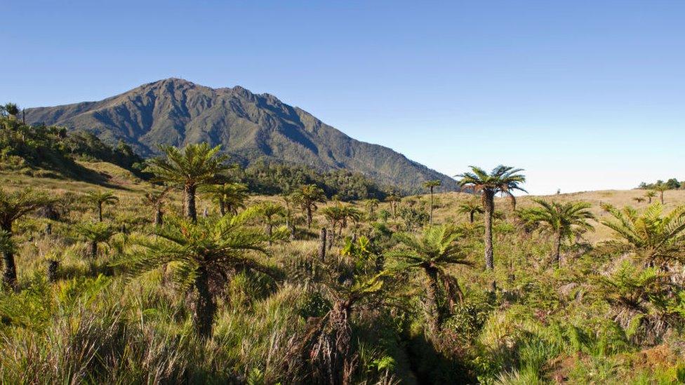 Grassland and mountains in Papua New Guinea