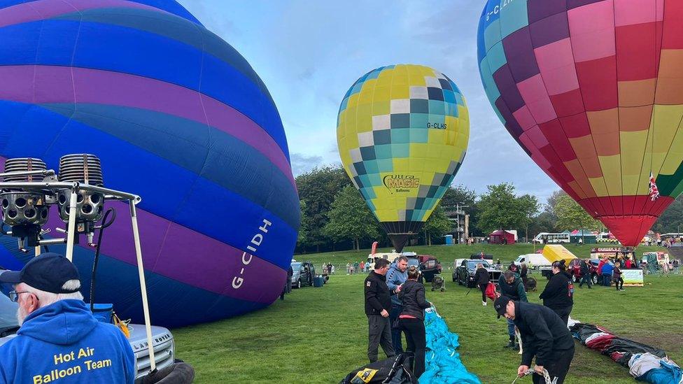 Hot air balloons in park