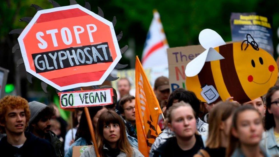 A protestor holds a placard reading "Stop Glyphosate" during a demonstration outside the World Conference centre where the annual general meeting of German chemicals giant Bayer takes place on April 26, 2019 in Bonn, western Germany. -