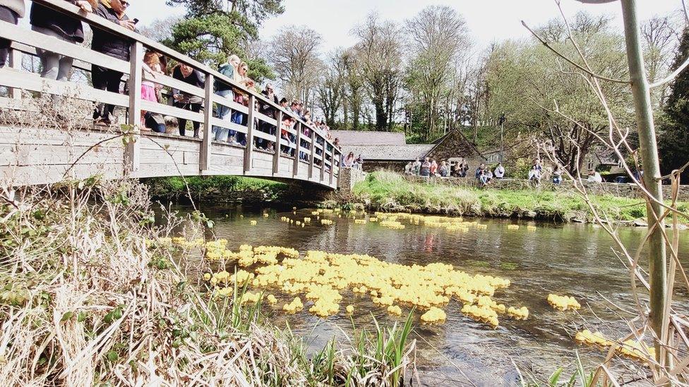 People watching yellow rubber ducks floating down the river