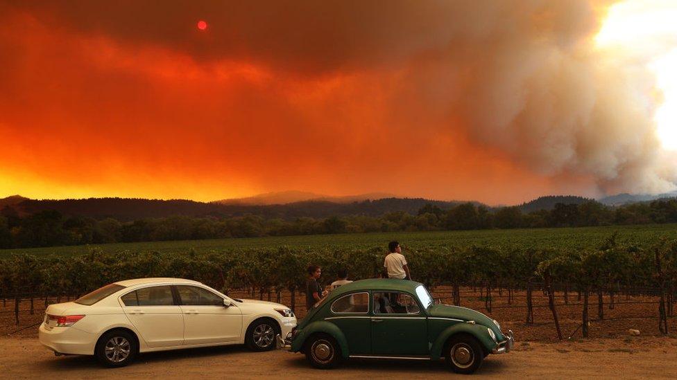 Fires near a vineyard