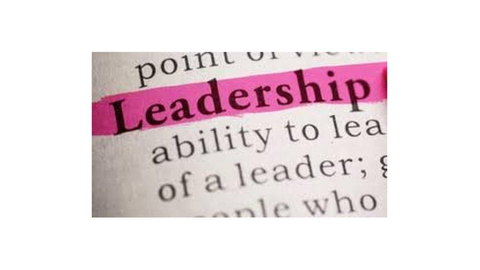 Word leadership highlighted in pink pen