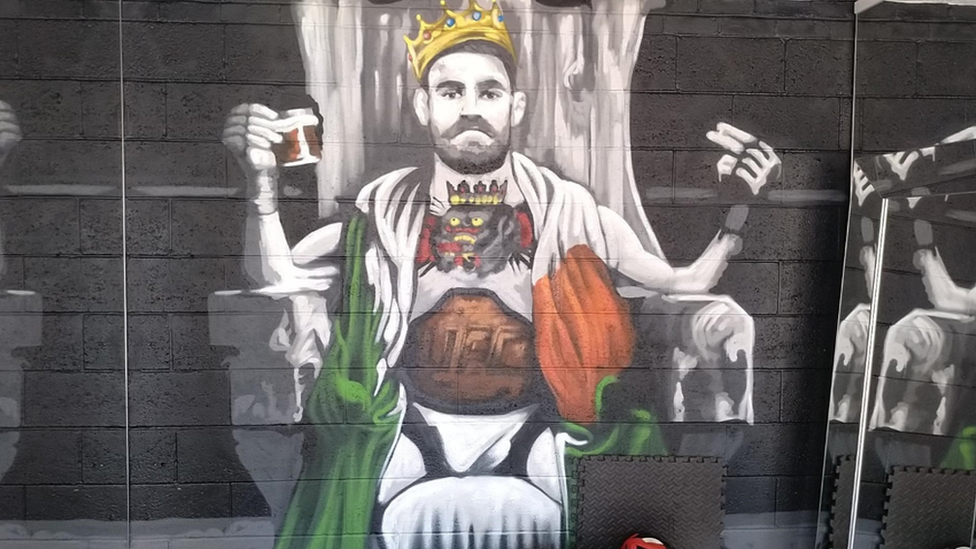 Mural of Ultimate Fighting Champion Connor McGregor at Palin's home