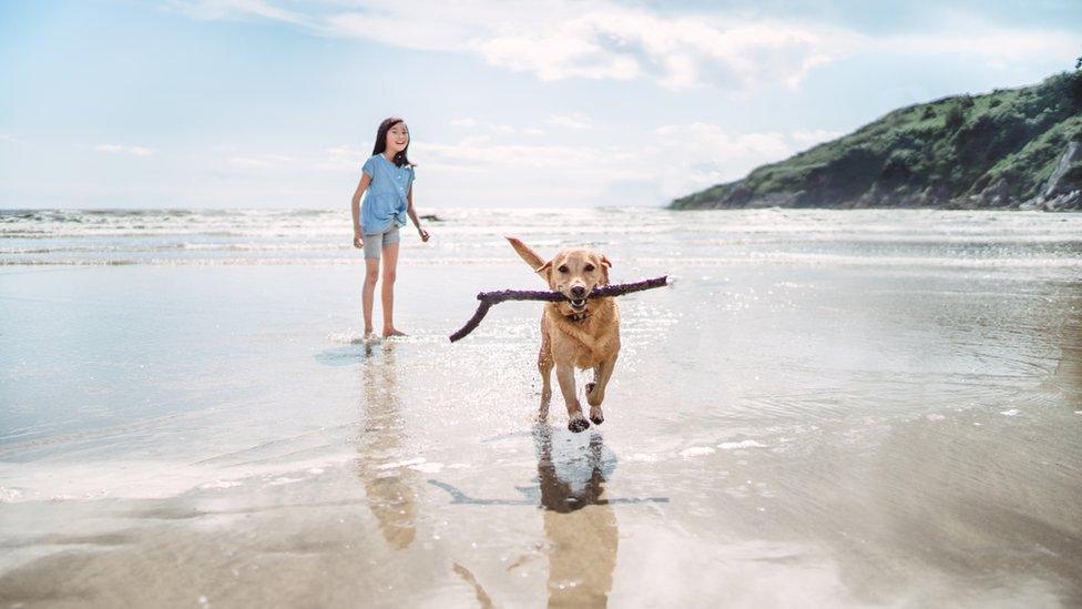 girl-playing-with-dog-on-beach.