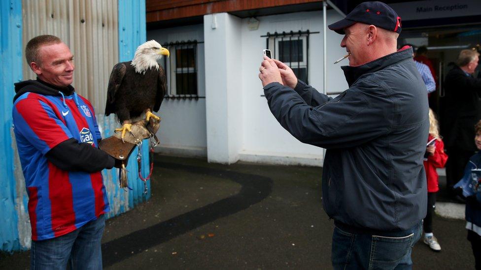 Crystal Palace mascot Kayla the eagle and handler pose for photographs prior to the Barclays Premier League match between Crystal Palace and Everton at Selhurst Park on November 9, 2013