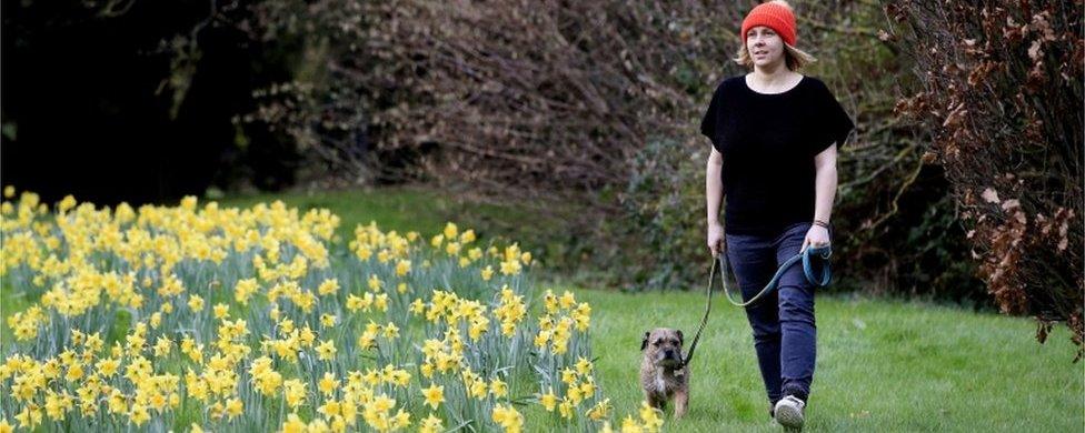 Kathryn Sharples and her dog, Iggy, visit a patch of blossoming daffodils in Maidenhead, Berkshire, on 26 December 2015