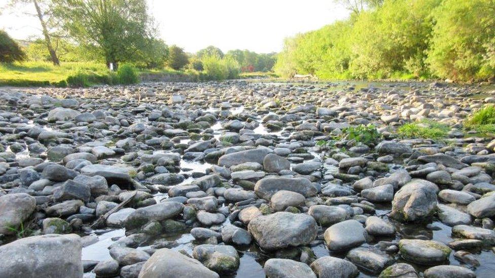 Afon Elwy