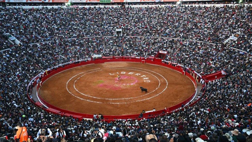 Spectators watch a bullfight at the Plaza de Mexico in Mexico City, 28 Jan 24