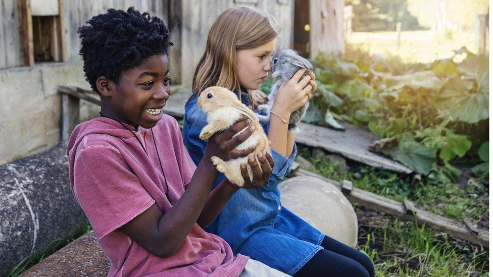 children playing with rabbits