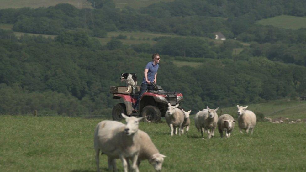 Sheep farmer Jacob Anthony on a quad bike