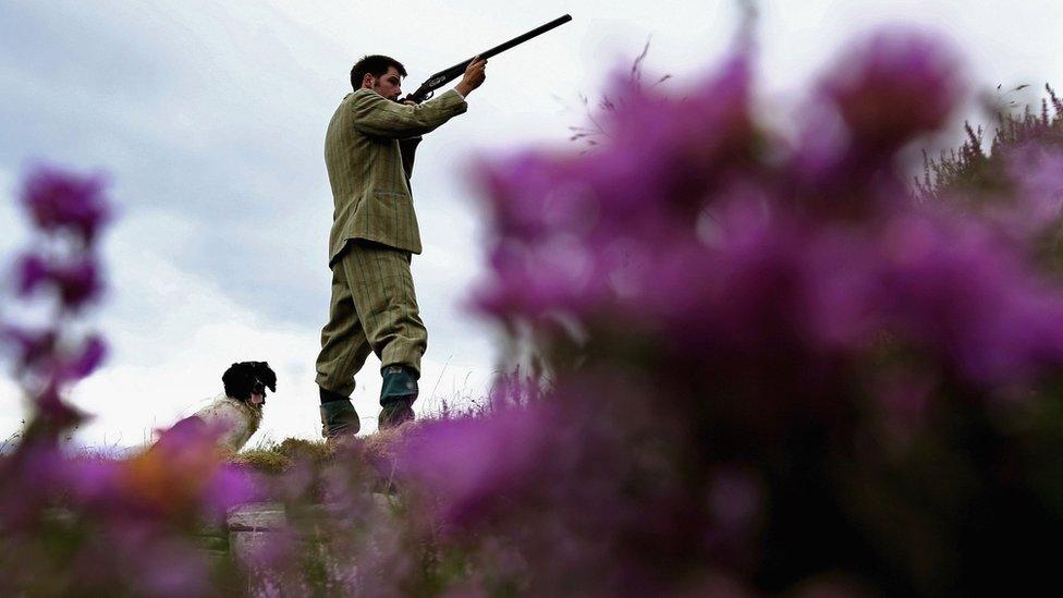 Scottish gamekeeper with his rifle