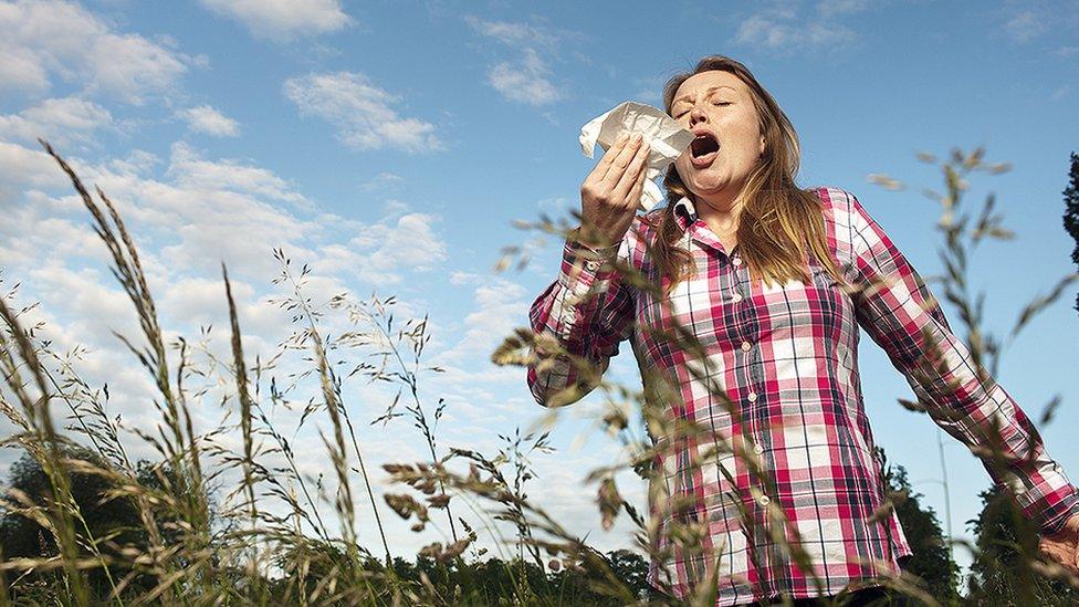 Woman sneezing in a field