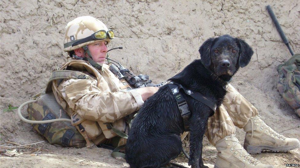 Sgt Dave Heyhoe with explosives dog Treo in Afghanistan