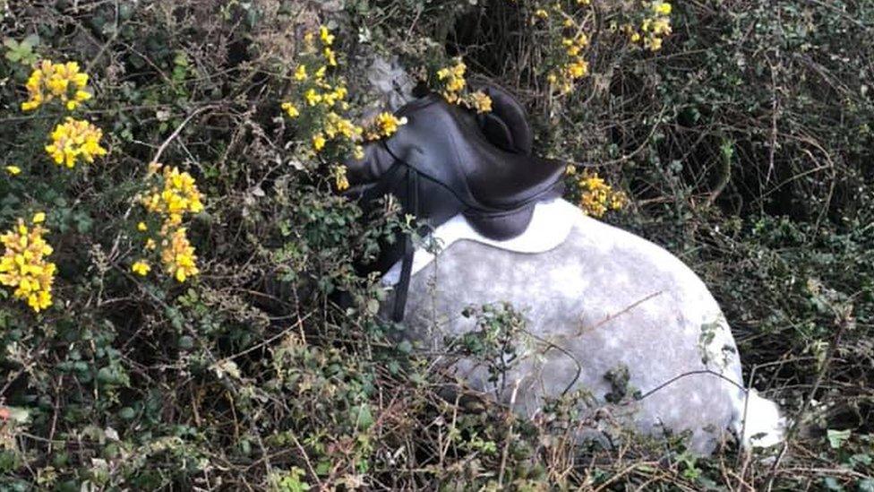 Horse stuck in ditch