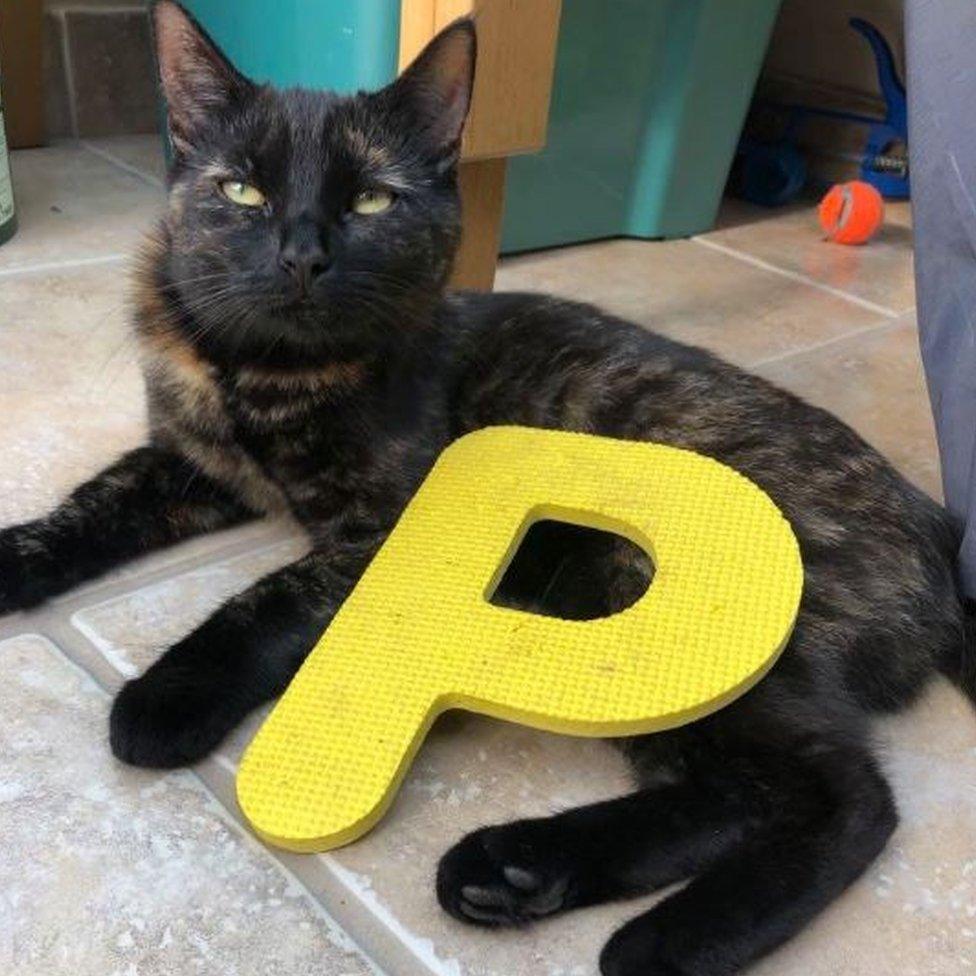 Pixel with a foam letter she has taken